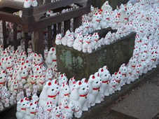 f:id:kogakuin-jsh:20190122092032p:plain