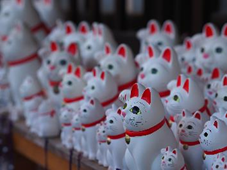 f:id:kogakuin-jsh:20190122092044p:plain