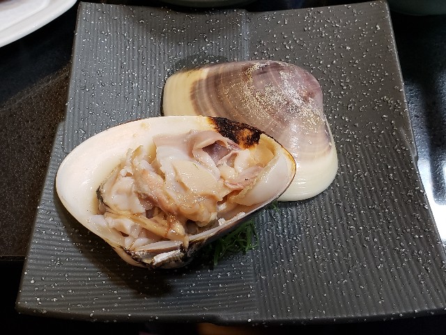 f:id:kogalent:20240124074647j:image