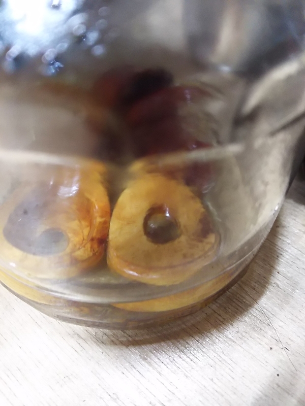 f:id:kogamera:20190104174952j:image