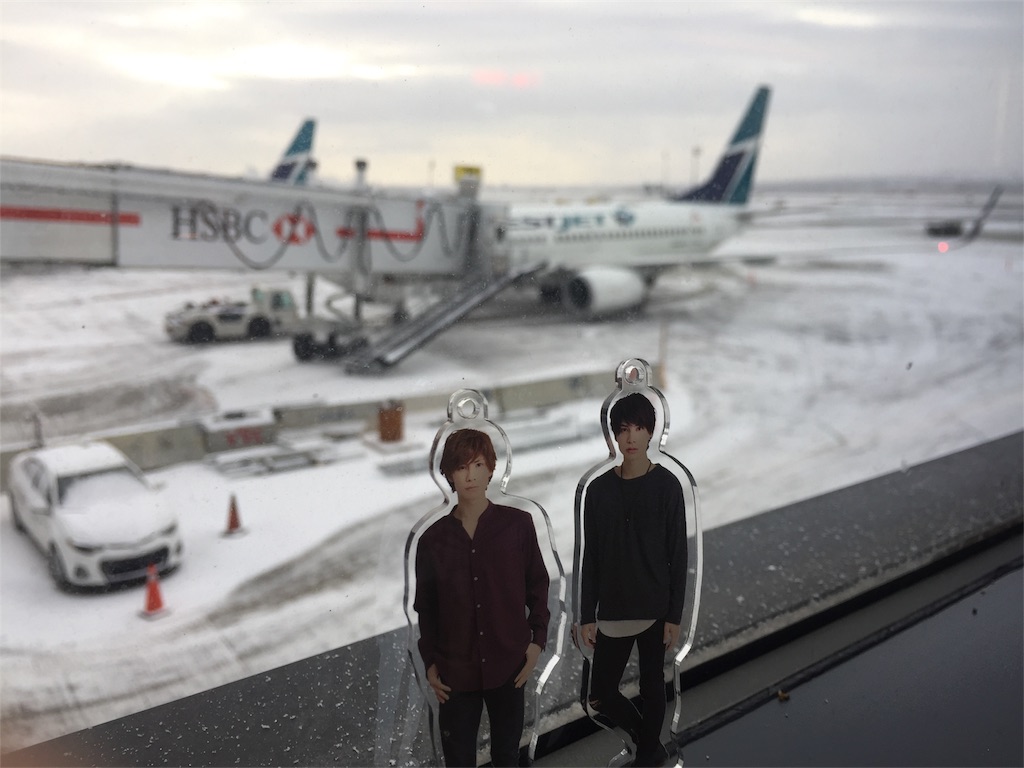 f:id:koganmomo:20190211185515j:image f:id:koganmomo:20190211185515j:image
