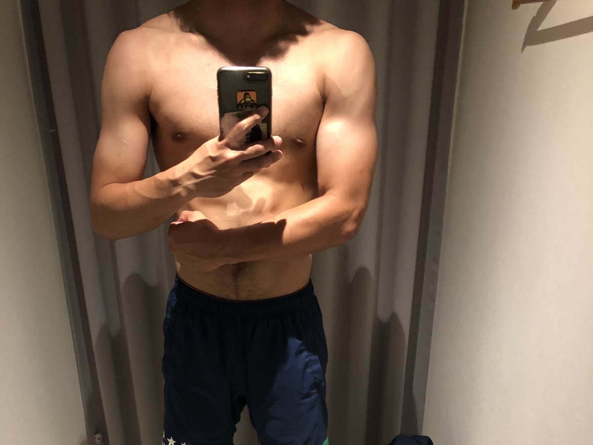 f:id:kogasho:20200212013130j:plain