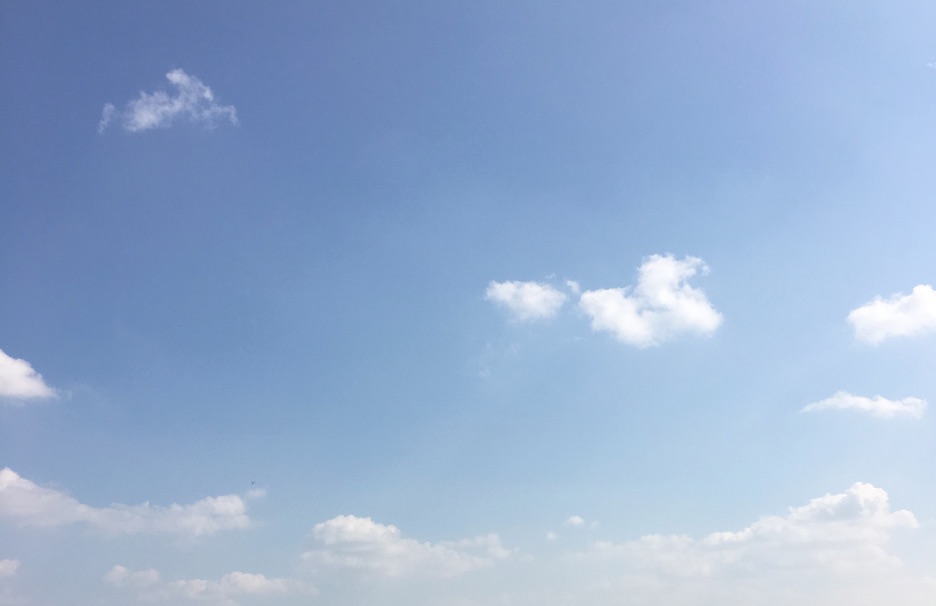 f:id:kogasora:20190308092819j:plain