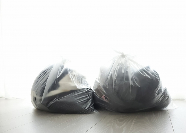 f:id:kogasora:20210723123019j:plain