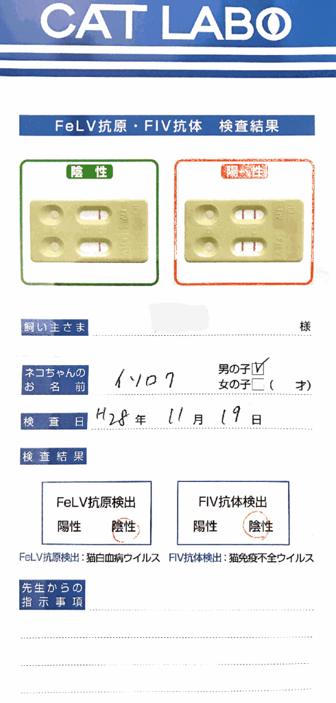 f:id:koge0211:20161125001655g:plain f:id:koge0211:20161125001655g:plain