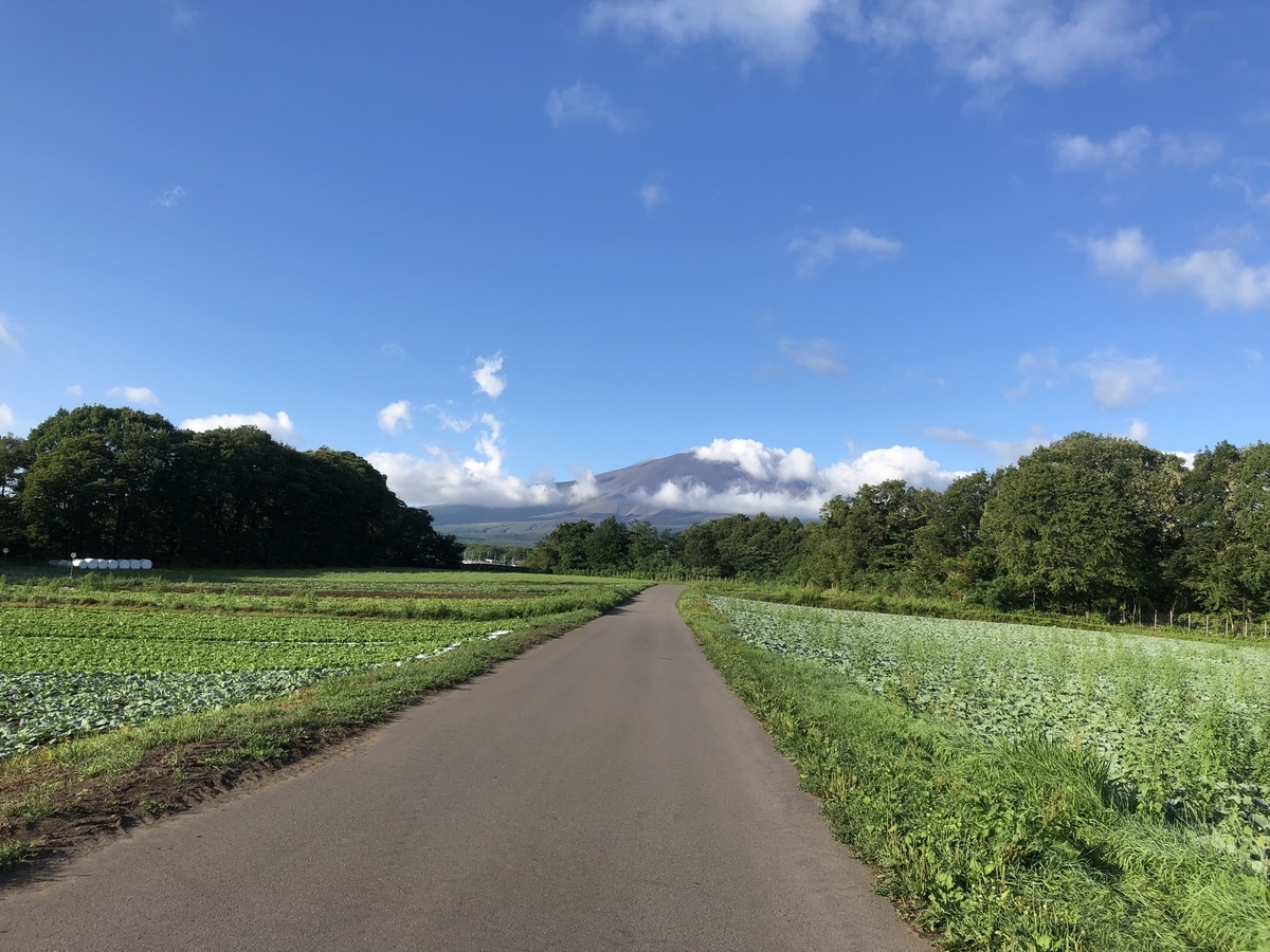 f:id:kogennosaijiki:20190624155233j:plain