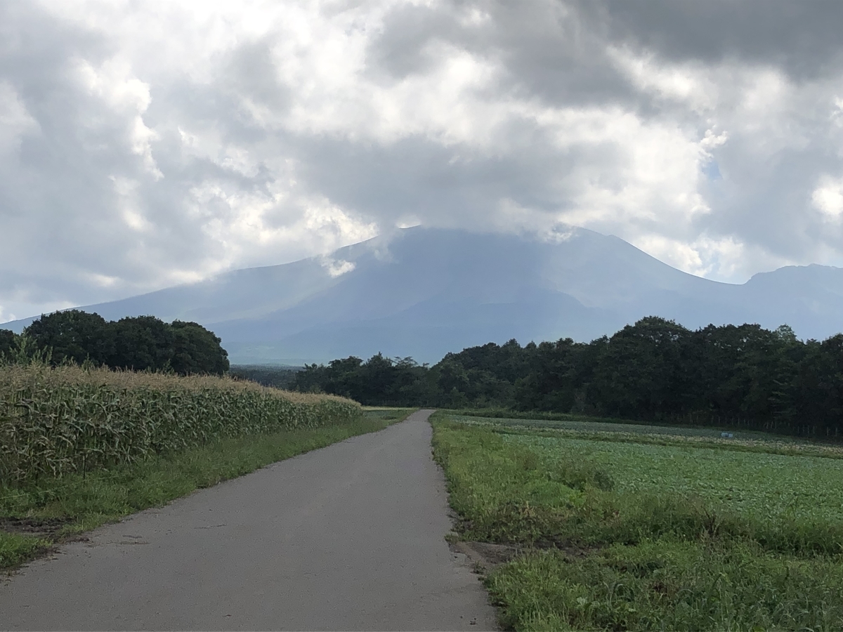 f:id:kogennosaijiki:20190826193052j:plain