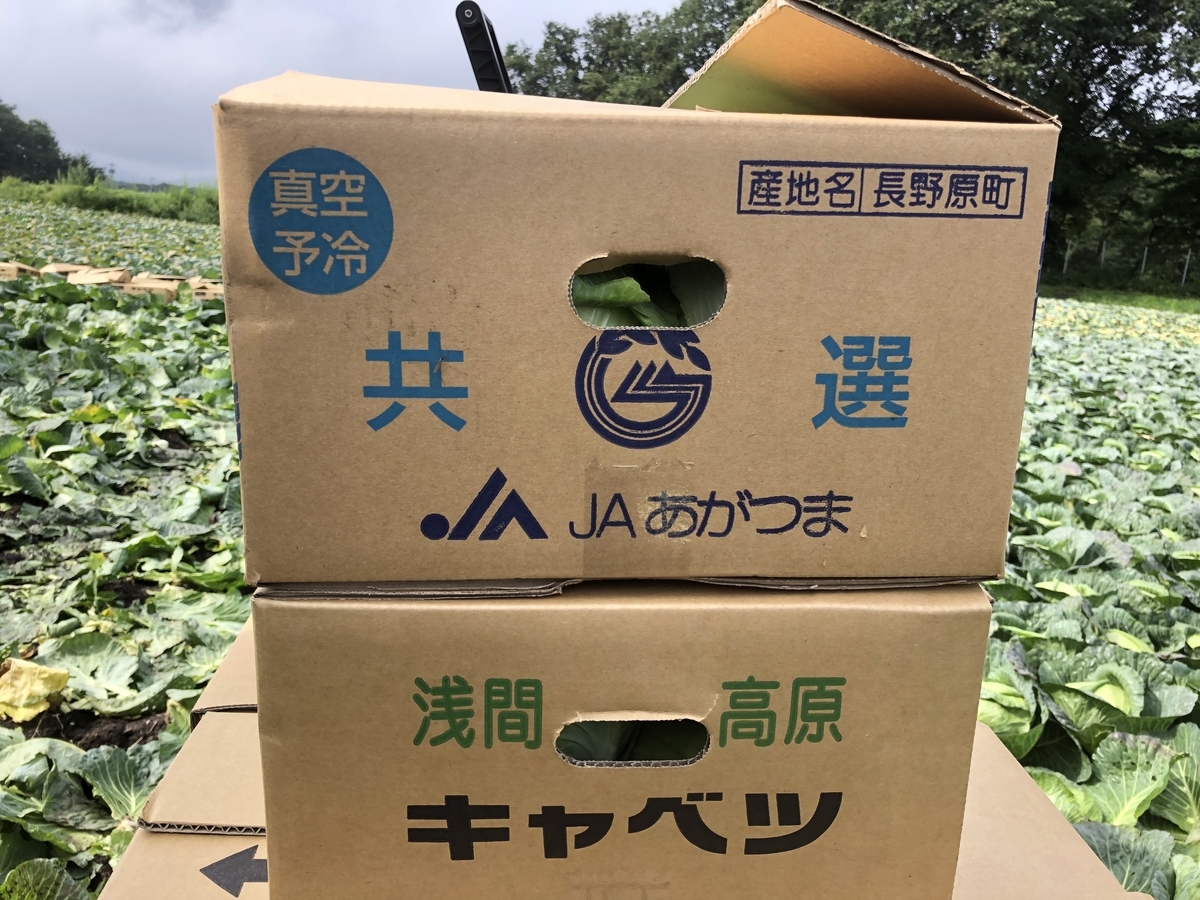 f:id:kogennosaijiki:20190827163816j:plain