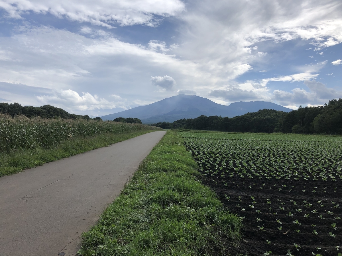 f:id:kogennosaijiki:20190831184328j:plain