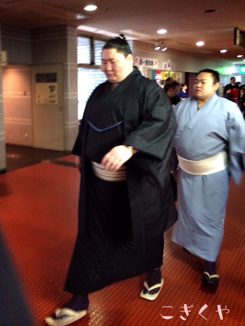 f:id:kogikuya:20150411024049j:plain f:id:kogikuya:20150411024049j:plain