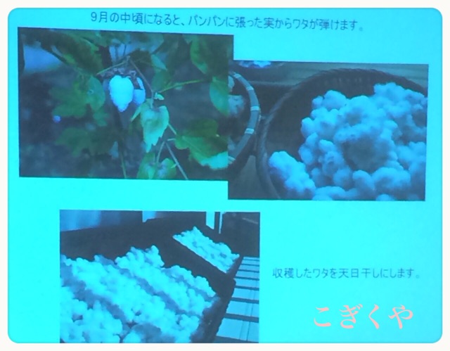 f:id:kogikuya:20150611022810j:image f:id:kogikuya:20150611022810j:image