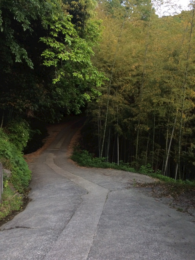 f:id:kogikuya:20180506011001j:image f:id:kogikuya:20180506011001j:image