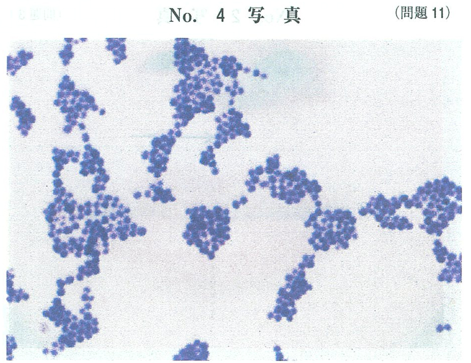 f:id:kogumakita:20180910150356j:plain f:id:kogumakita:20180910150356j:plain
