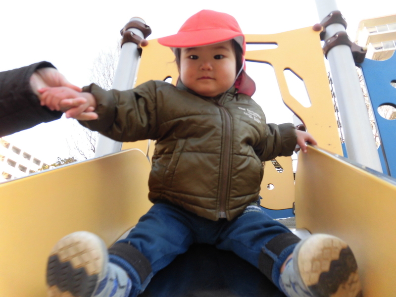 f:id:kogumanomori:20190118095411j:image:w360