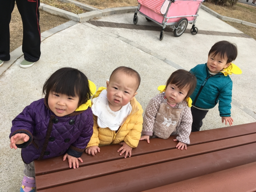f:id:kogumanomoriminohsaitoen6:20180116134951j:plain f:id:kogumanomoriminohsaitoen6:20180116134951j:plain