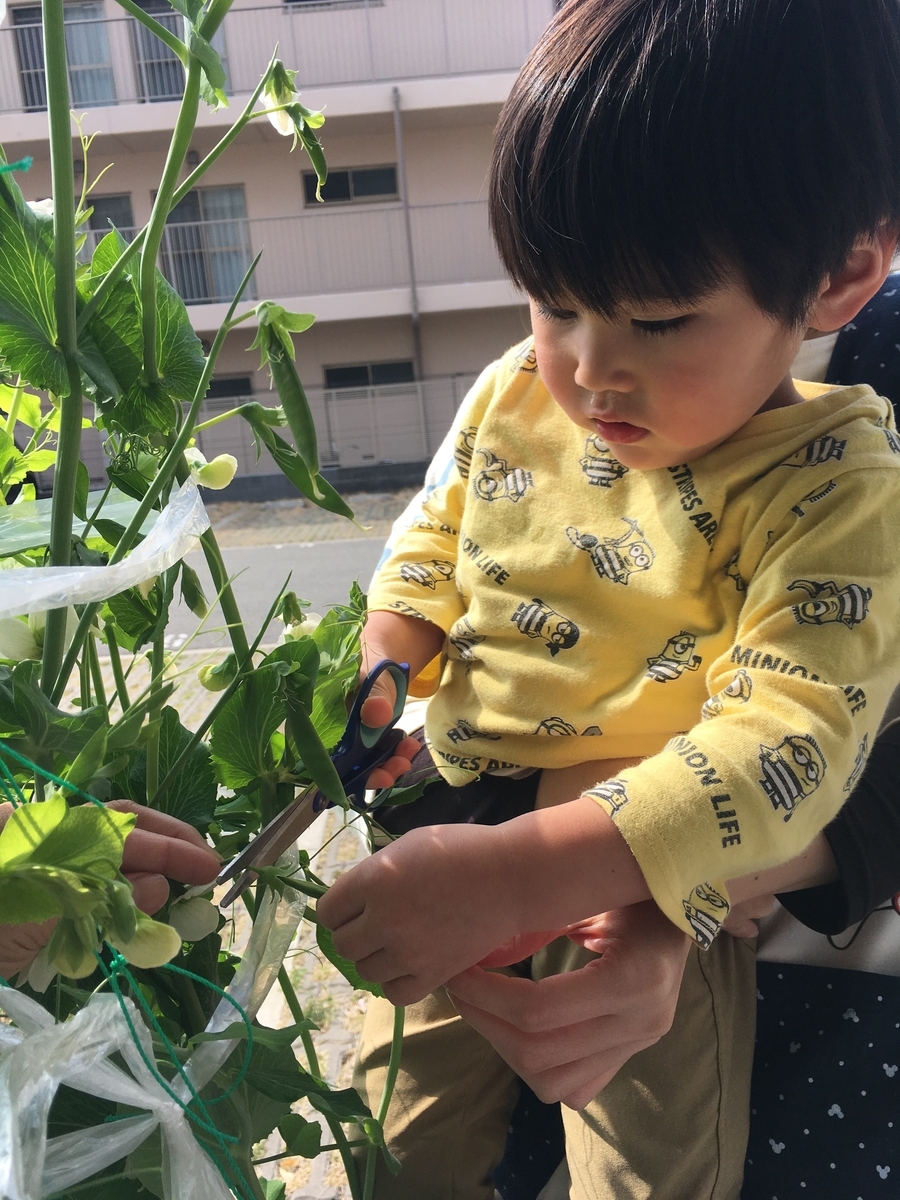 f:id:kogumanomoriminohsaitoen6:20190329152933j:plain f:id:kogumanomoriminohsaitoen6:20190329152933j:plain