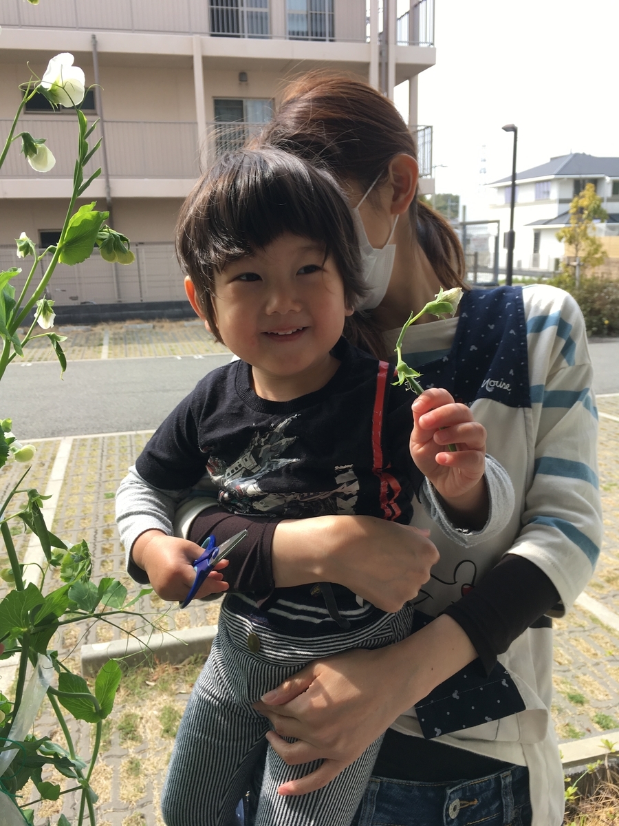 f:id:kogumanomoriminohsaitoen6:20190329153402j:plain f:id:kogumanomoriminohsaitoen6:20190329153402j:plain