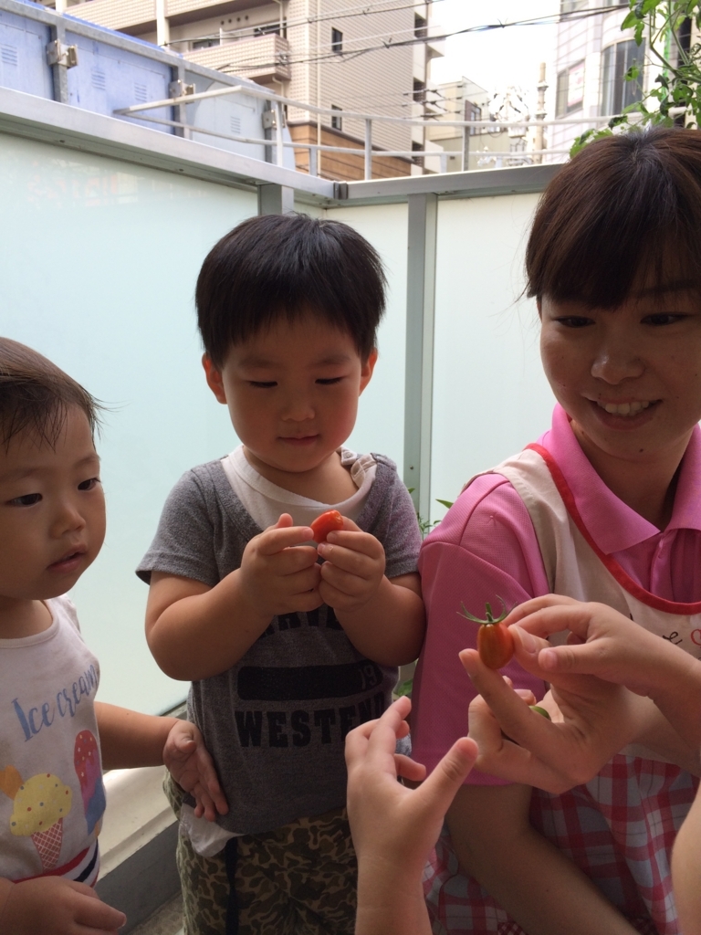 f:id:kogumanomorinihonbashi:20180724172648j:plain f:id:kogumanomorinihonbashi:20180724172648j:plain