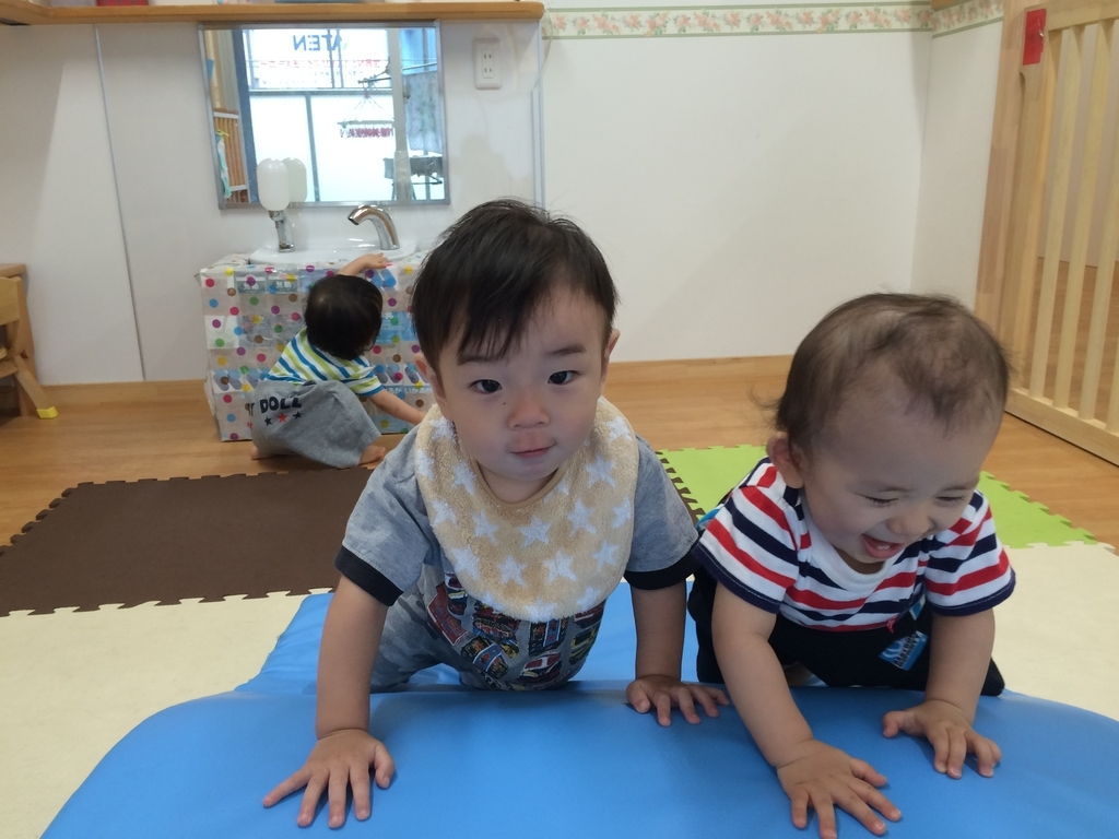 f:id:kogumanomorinihonbashi:20181011182807j:plain f:id:kogumanomorinihonbashi:20181011182807j:plain