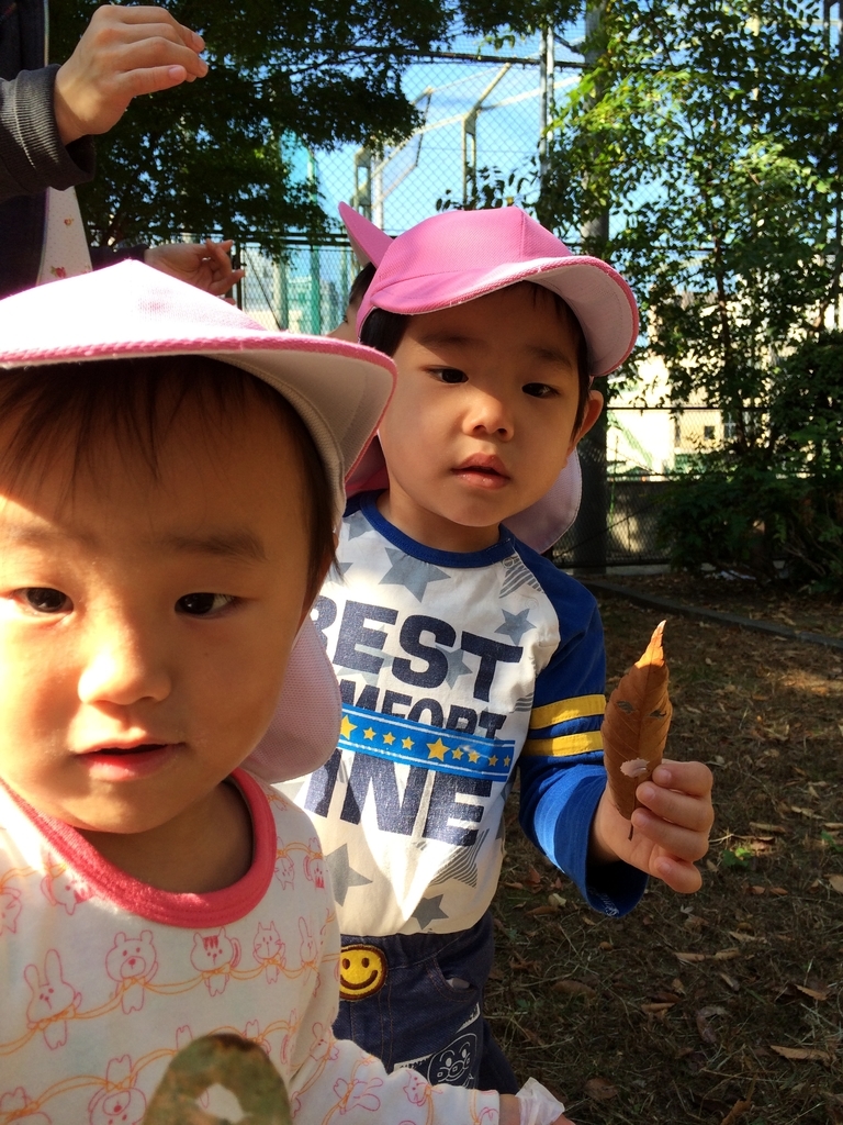 f:id:kogumanomorinihonbashi:20181105173816j:plain f:id:kogumanomorinihonbashi:20181105173816j:plain