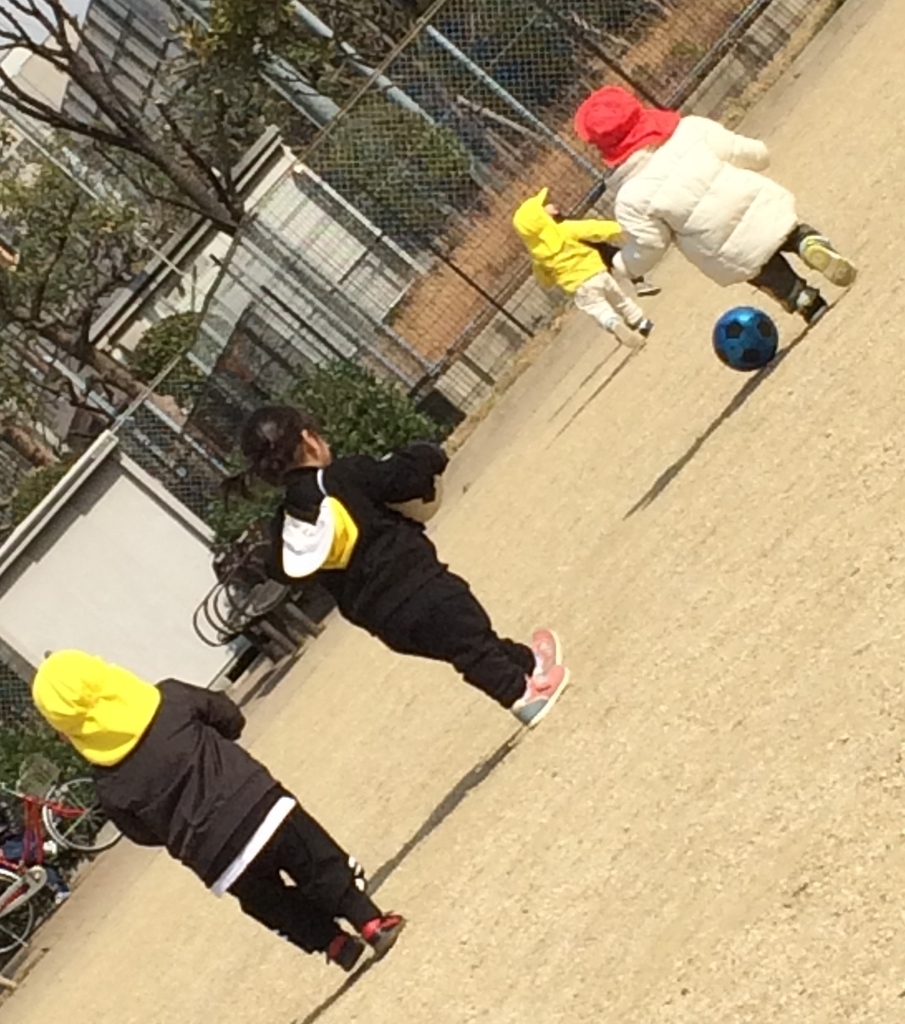 f:id:kogumanomorinihonbashi:20190218142506j:plain f:id:kogumanomorinihonbashi:20190218142506j:plain