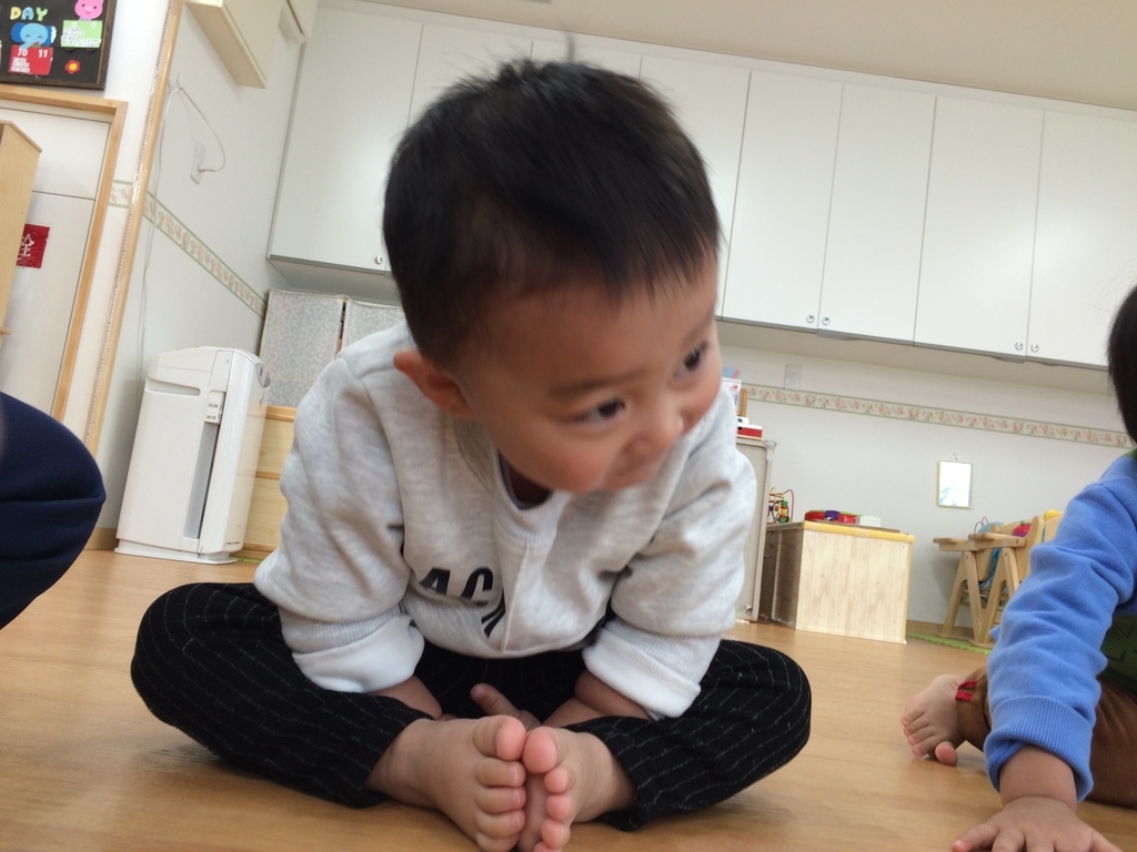 f:id:kogumanomorinihonbashi:20190222163357j:plain f:id:kogumanomorinihonbashi:20190222163357j:plain