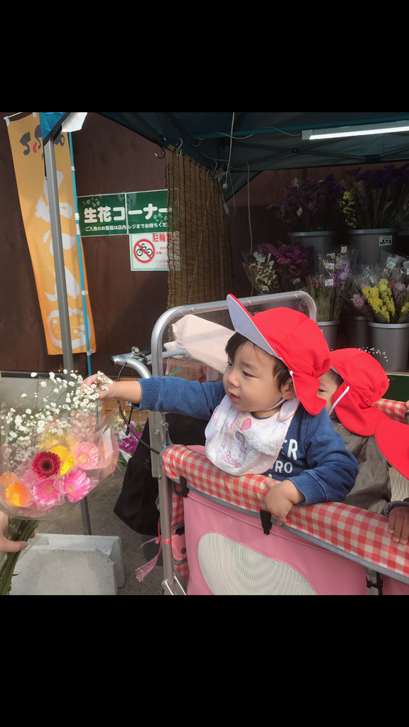 f:id:kogumanomorinihonbashi:20190222182912p:plain f:id:kogumanomorinihonbashi:20190222182912p:plain