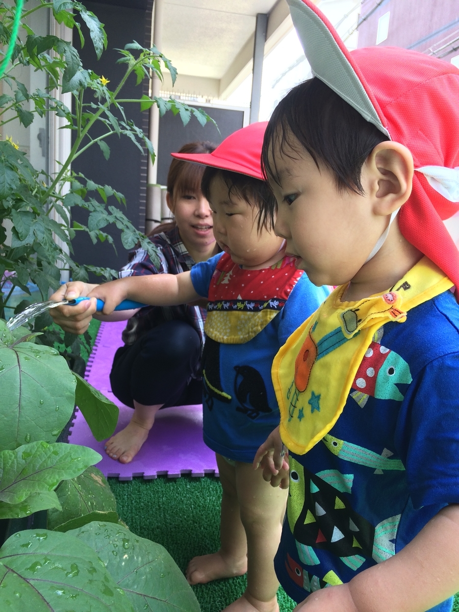 f:id:kogumanomorinihonbashi:20190603131540j:plain f:id:kogumanomorinihonbashi:20190603131540j:plain