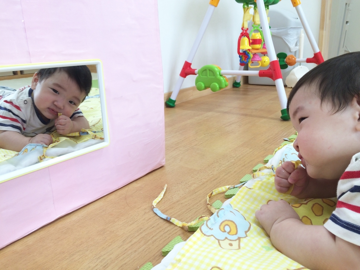 f:id:kogumanomorinihonbashi:20190603132832j:plain f:id:kogumanomorinihonbashi:20190603132832j:plain