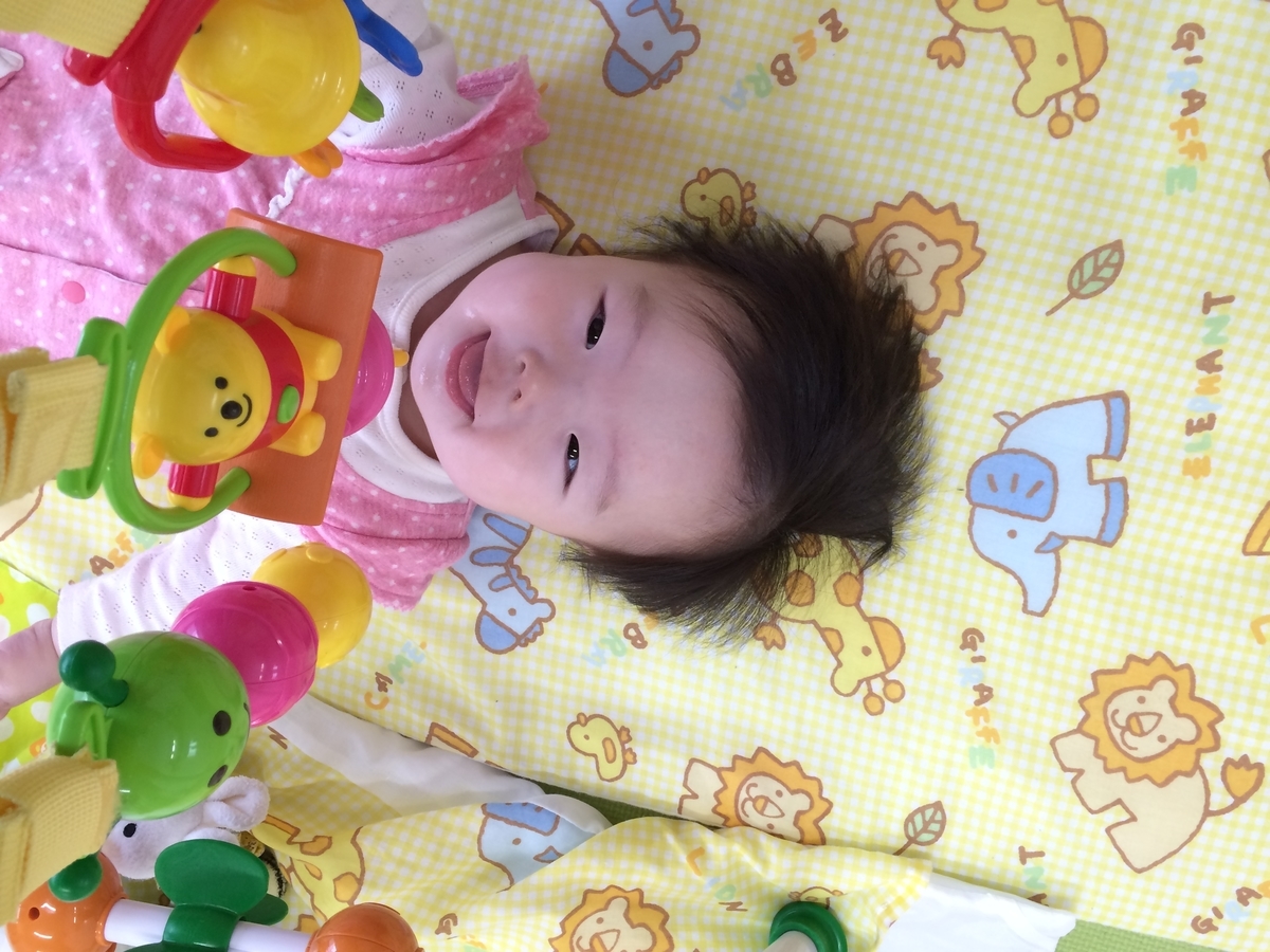 f:id:kogumanomorinihonbashi:20190603133019j:plain f:id:kogumanomorinihonbashi:20190603133019j:plain