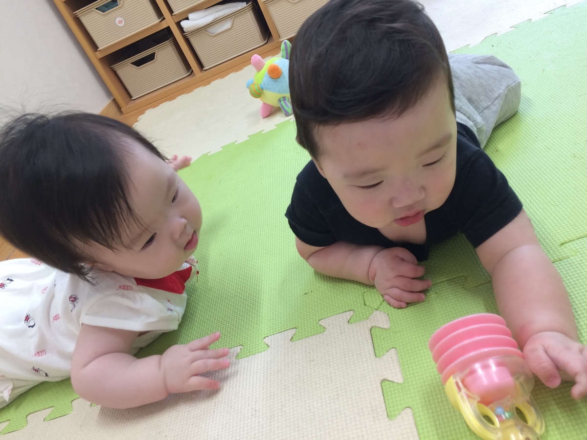 f:id:kogumanomorinihonbashi:20190605145248j:plain f:id:kogumanomorinihonbashi:20190605145248j:plain