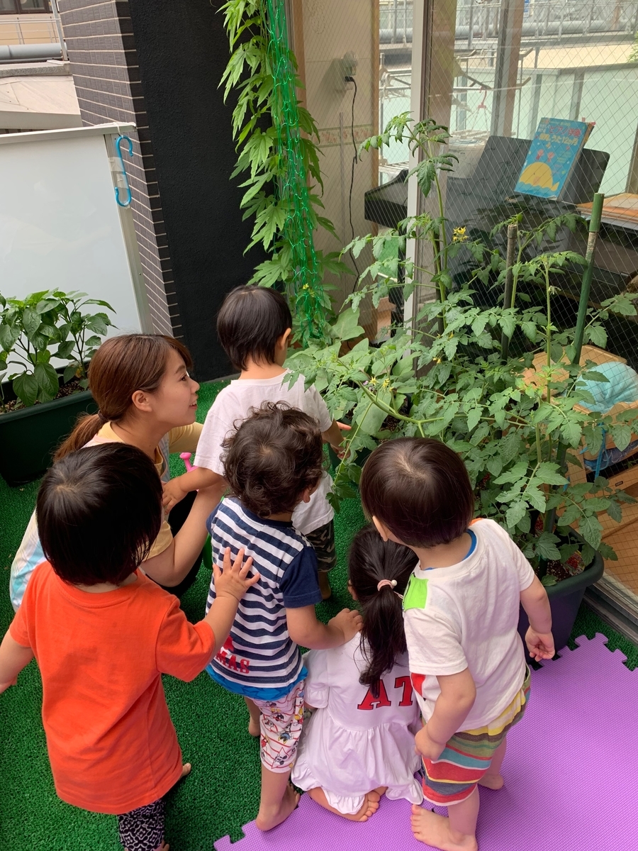 f:id:kogumanomorinihonbashi:20190605145843j:plain f:id:kogumanomorinihonbashi:20190605145843j:plain