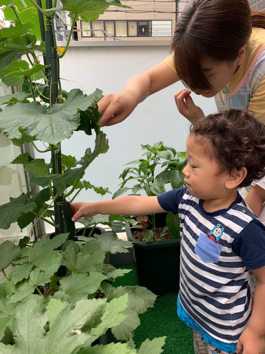 f:id:kogumanomorinihonbashi:20190605150102j:plain f:id:kogumanomorinihonbashi:20190605150102j:plain