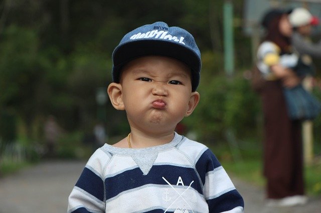f:id:kogumapapa:20210206135529j:plain