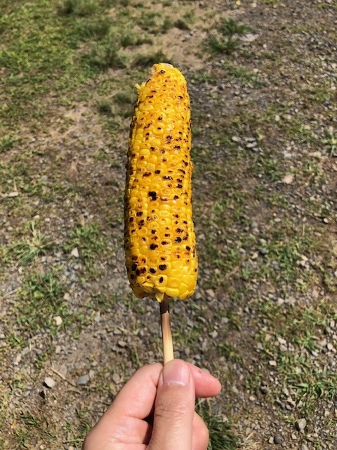 f:id:kogysma:20190818201249j:plain