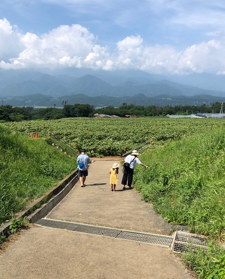 f:id:kogysma:20190818205059j:plain