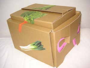 20061220223947