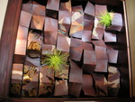 20070217124931