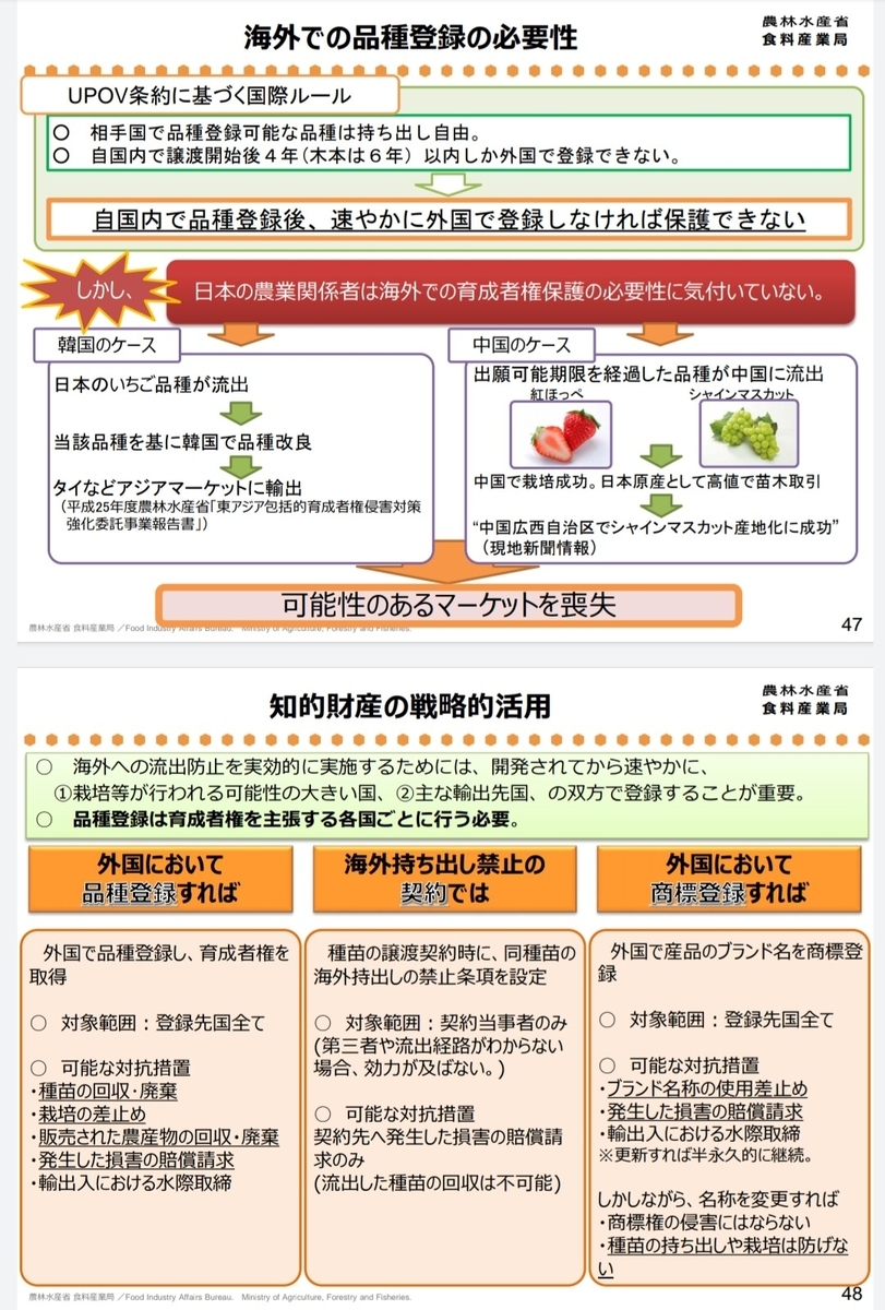 f:id:koh1229:20200528051734j:plain f:id:koh1229:20200528051734j:plain
