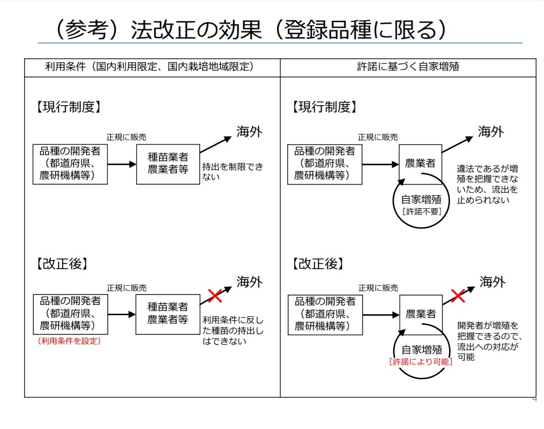 f:id:koh1229:20200528052233j:plain f:id:koh1229:20200528052233j:plain