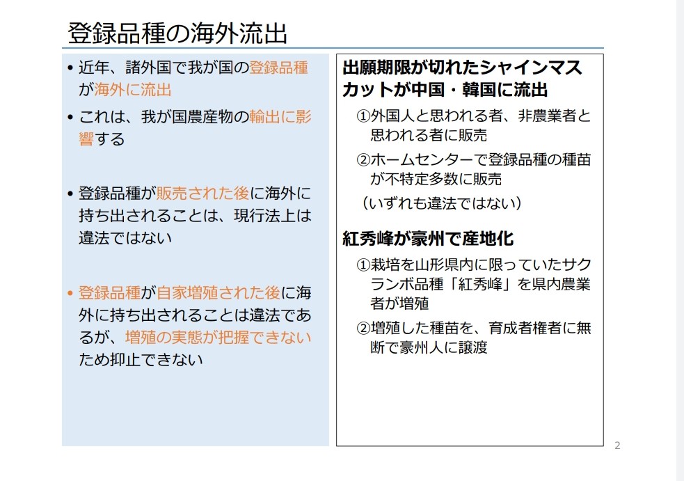 f:id:koh1229:20200528055446j:plain f:id:koh1229:20200528055446j:plain