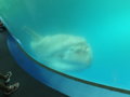 20120904232016