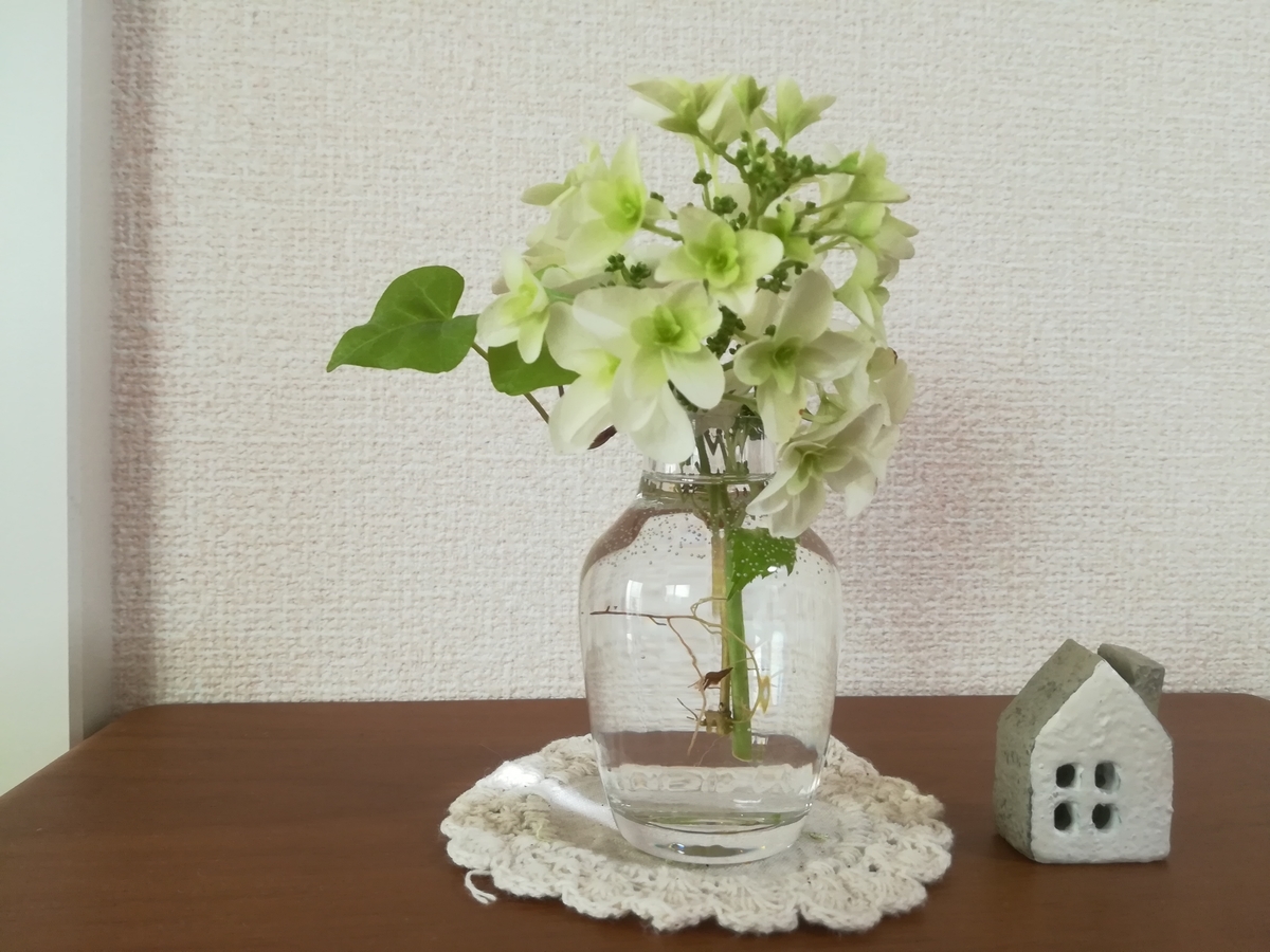 f:id:kohachan1217:20190612135312j:plain
