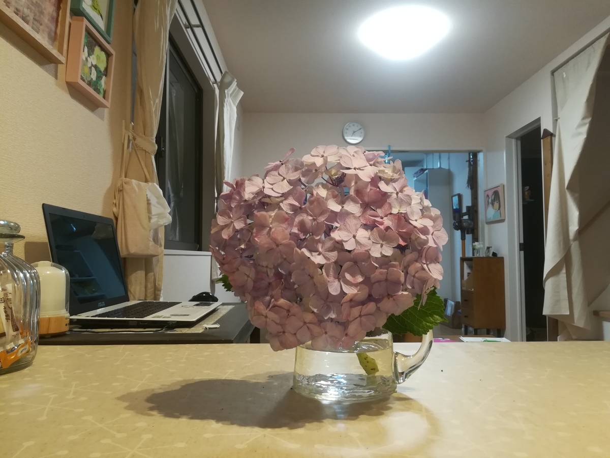 f:id:kohachan1217:20190619221111j:plain
