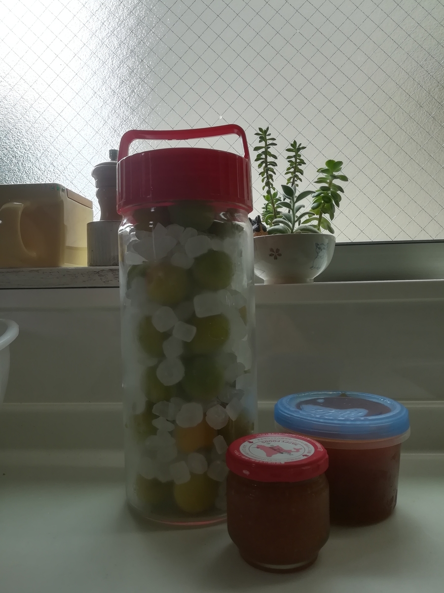 f:id:kohachan1217:20190628142451j:plain