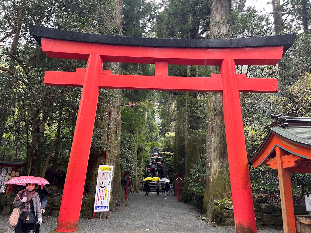 f:id:kohachidiary:20241103070422j:image