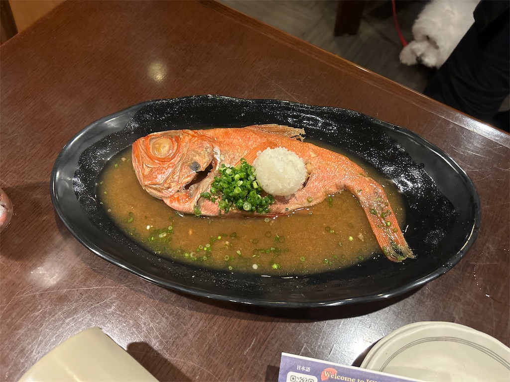 f:id:kohachidiary:20241105070154j:image