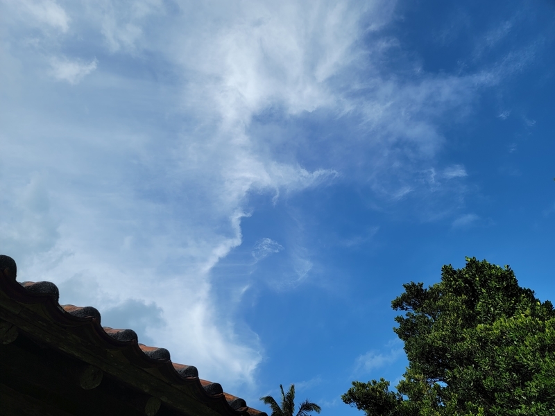 f:id:kohakunodaradara:20211018142836j:plain