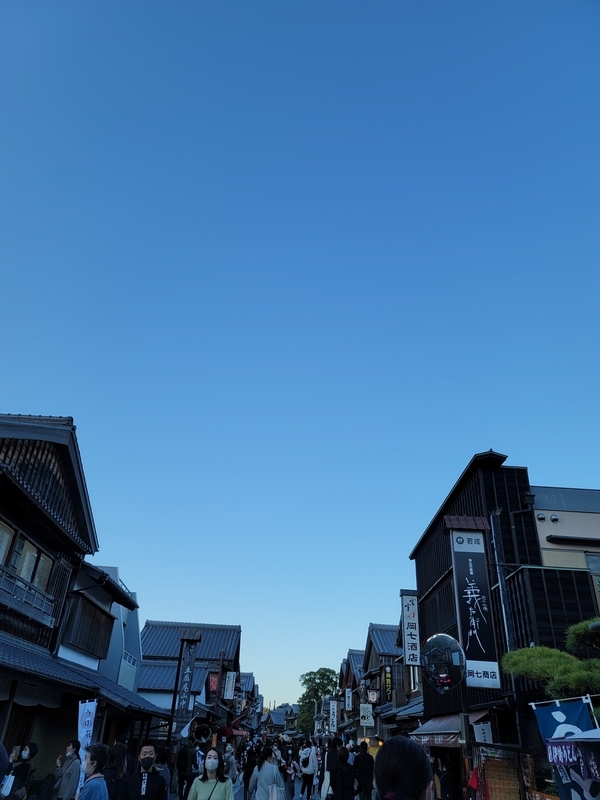 f:id:kohakunodaradara:20211107132347j:plain