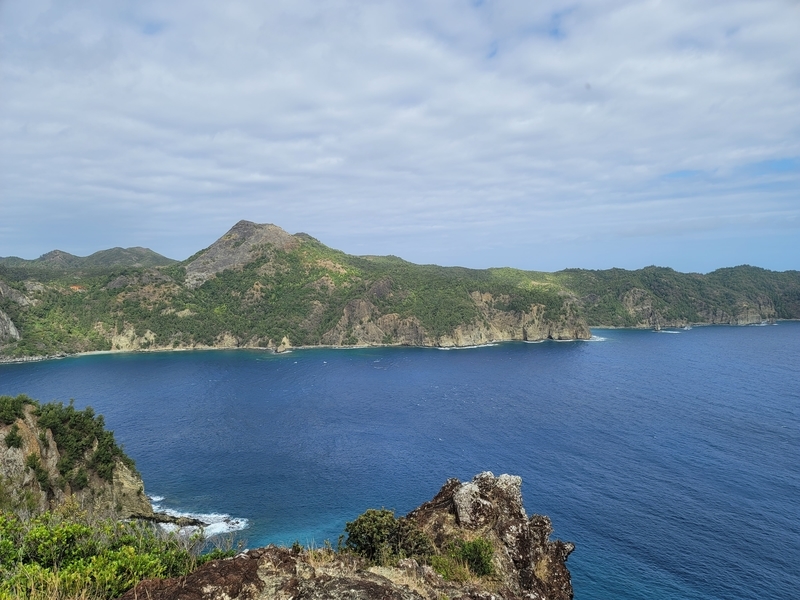 f:id:kohakunodaradara:20220127082514j:plain